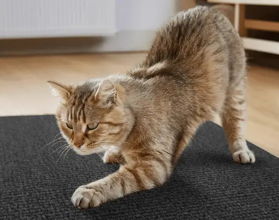 Arranhador Adesivo para Gato – Protetor de Sofá Cama e Móveis em Carpete Premium Caprioli Shop Arranhadores gatos CINZA
