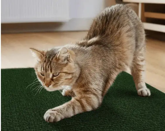 Arranhador Adesivo para Gato – Protetor de Sofá Cama e Móveis em Carpete Premium Caprioli Shop Arranhadores gatos