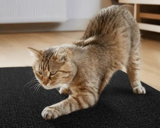 Arranhador Adesivo para Gato – Protetor de Sofá Cama e Móveis em Carpete Premium Caprioli Shop Arranhadores gatos