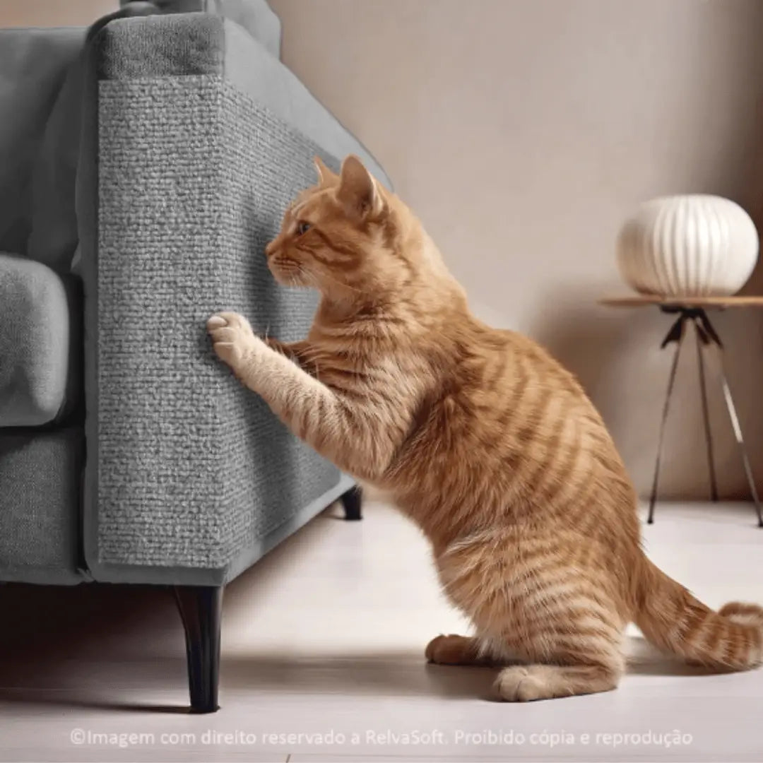 Arranhador Adesivo para Gato – Protetor de Sofá Cama e Móveis em Carpete Premium Caprioli Shop Arranhadores gatos