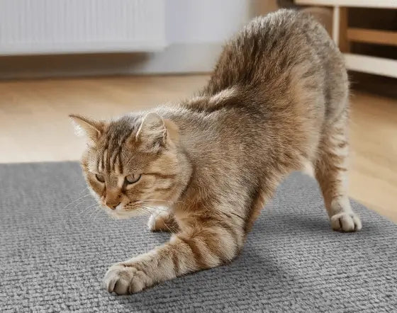 Arranhador Adesivo para Gato – Protetor de Sofá Cama e Móveis em Carpete Premium Caprioli Shop Arranhadores gatos