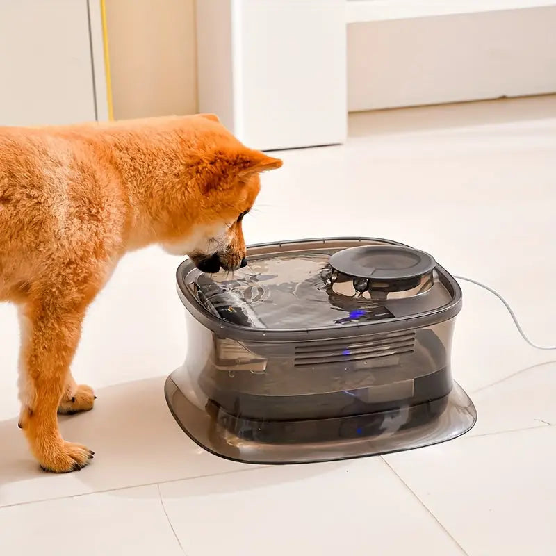 Bebedouro Automáticao 4.5L para Cães com Bomba Silenciosa USB | Caprioli Inter - bebedouro cachorro