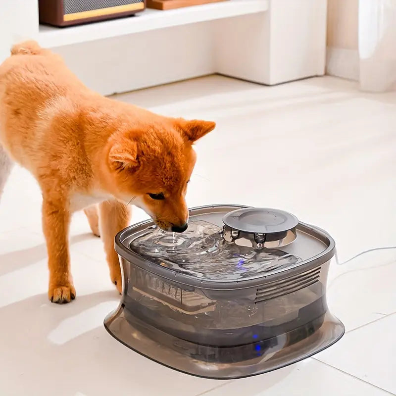 Bebedouro Automáticao 4.5L para Cães com Bomba Silenciosa USB | Caprioli Inter - bebedouro cachorro