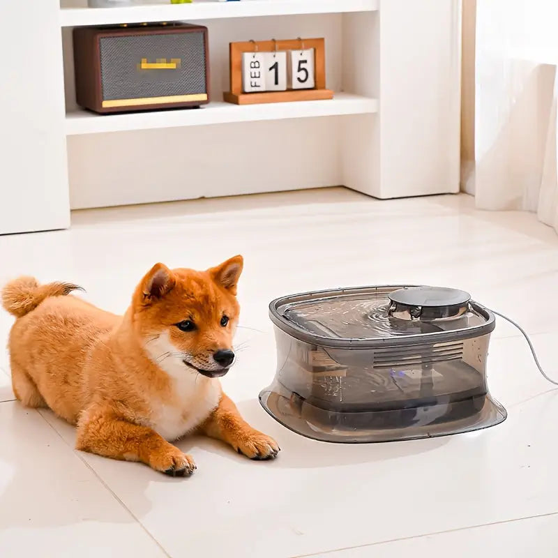 Bebedouro Automáticao 4.5L para Cães com Bomba Silenciosa USB | Caprioli Inter - bebedouro cachorro