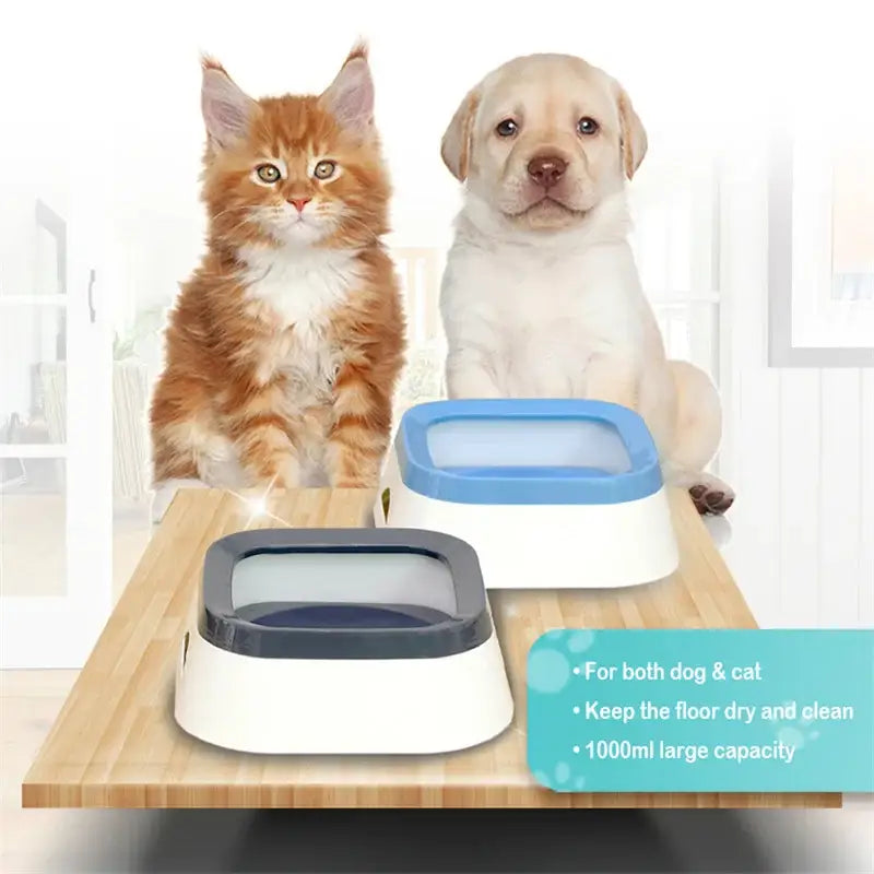 Bebedouro para Cães 1L Grande Capacidade | Caprioli Inter bebedouro cachorro