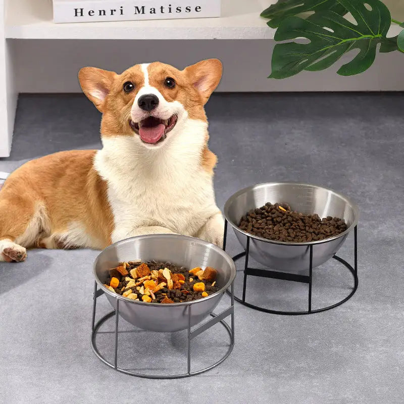 Bebedouro para cães em aço inoxidável antichoque Durável e segura | Caprioli Inter bebedouro cachorro