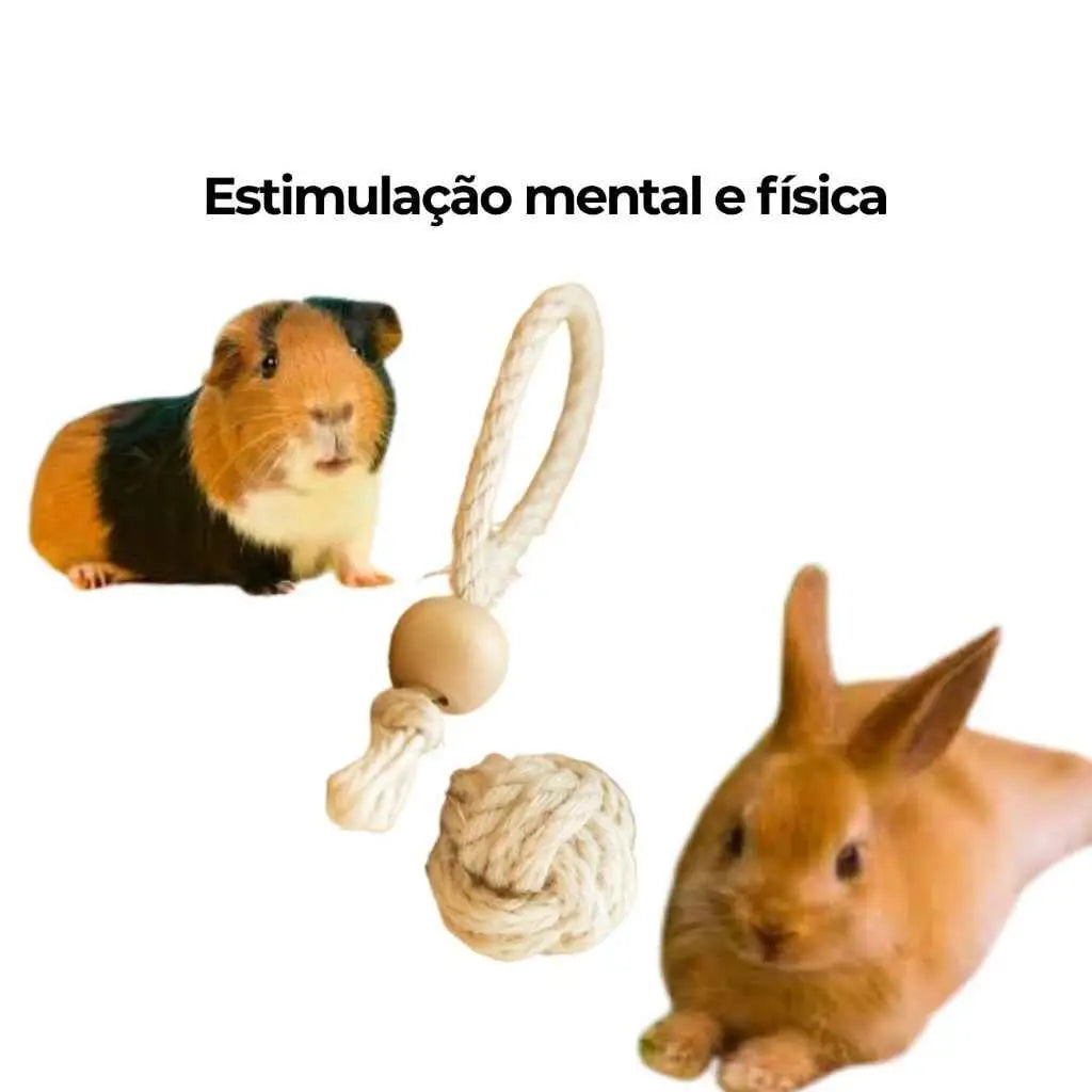 Brinquedo Para Coelhos Natural Sisal + Pinus | Desgaste Saudável Dentes Roedores | Caprioli Inter para roedores