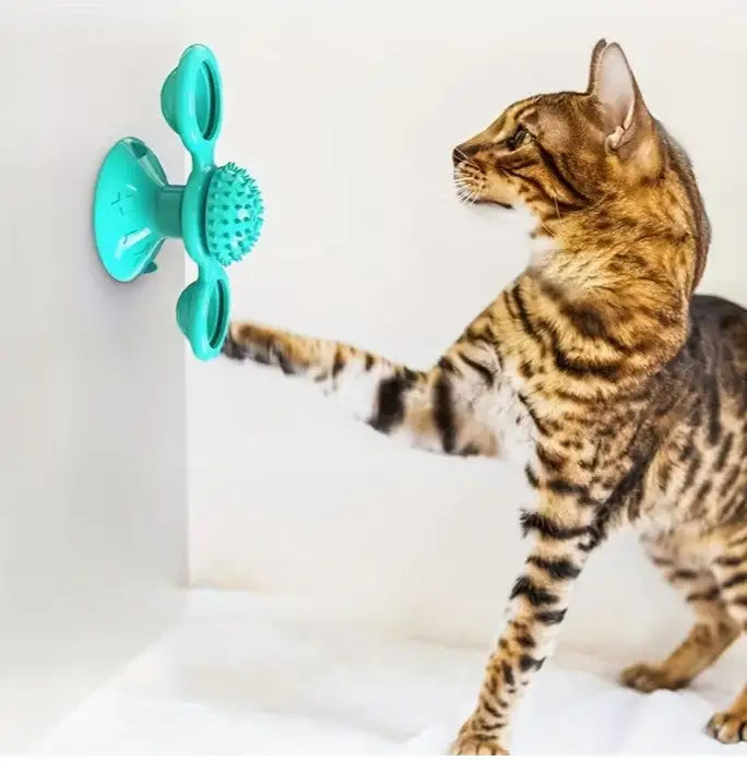 Brinquedo Giratório para Gatos - Design de Moinho Vento | Caprioli Inter - brinquedos gatos