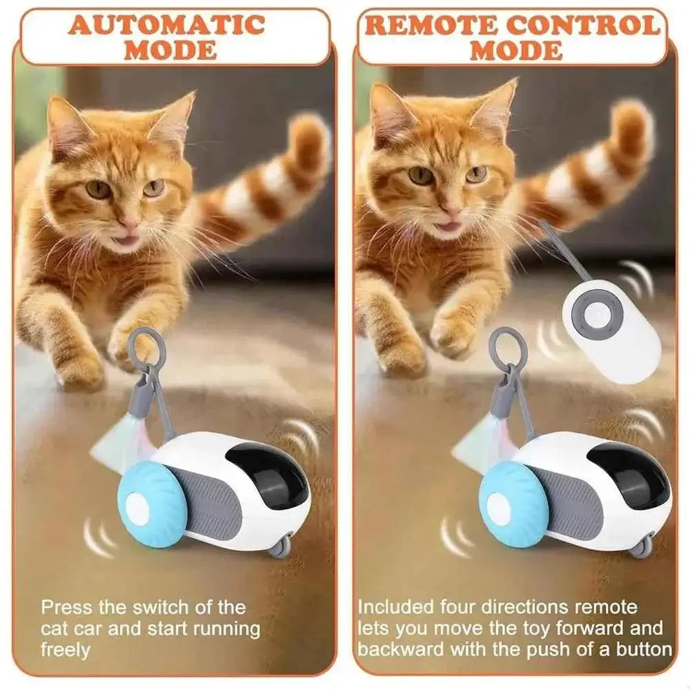 Brinquedo Interativo para Gatos Diversão Inteligente e Recarga Rápida | Caprioli Inter brinquedos gatos