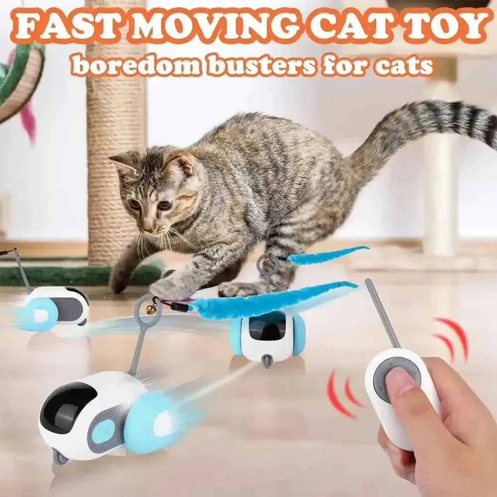 Brinquedo Interativo para Gatos Diversão Inteligente e Recarga Rápida | Caprioli Inter brinquedos gatos