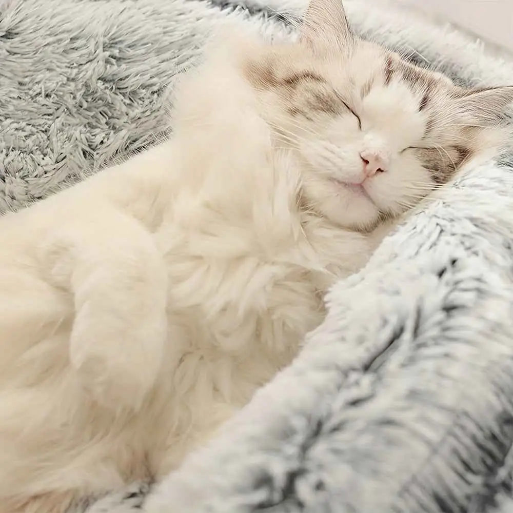 Cama de Estimação Redonda Pelúcia Ninho com Capuz | Caprioli Inter caminhas e casinhas para gatos