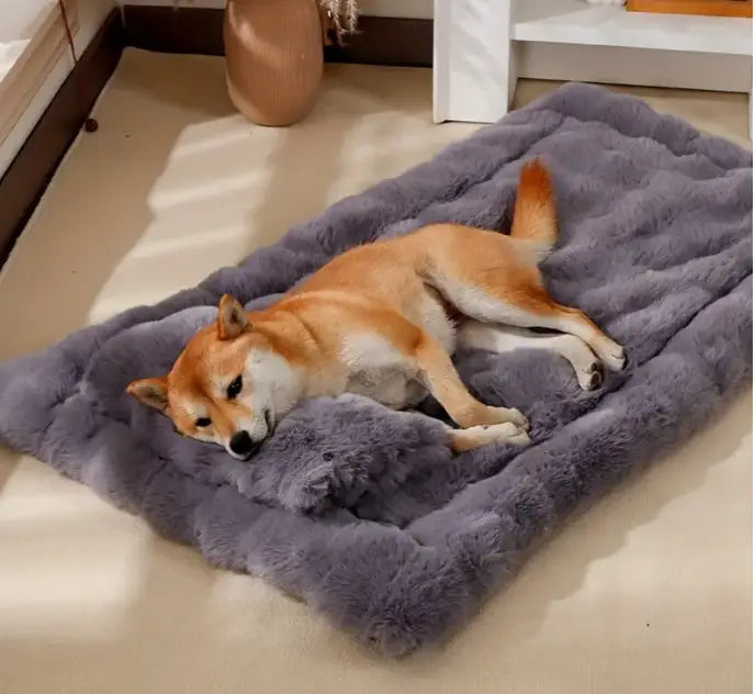Cama de Pelúcia para Cães - Cores Sortidas | Caprili Inter - caminha e casinha cachorro - Cinza / S-50*40cm