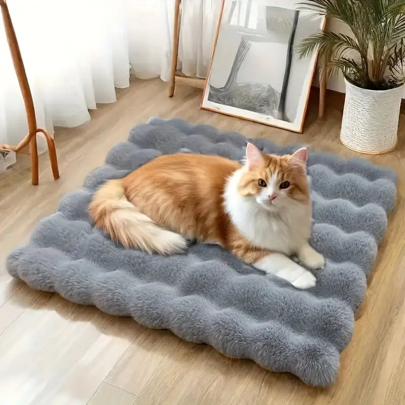 Cama de Pelúcia para Gatos - Conforto Quente e Macio | Caprioli Inter - caminhas casinhas gatos