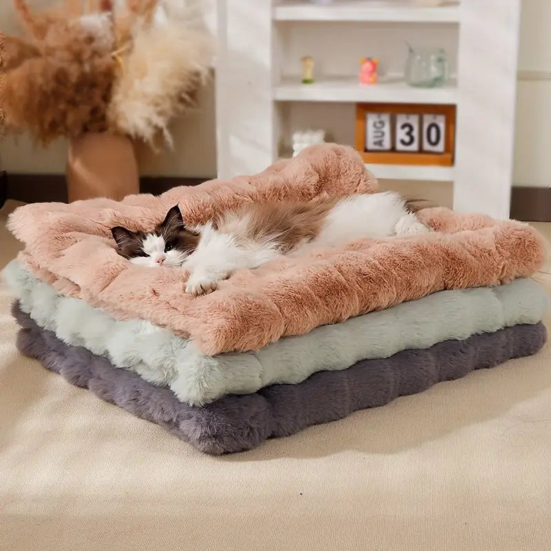 Cama de Pelúcia para Gatos - Conforto Quente e Macio | Caprioli Inter - caminhas casinhas gatos