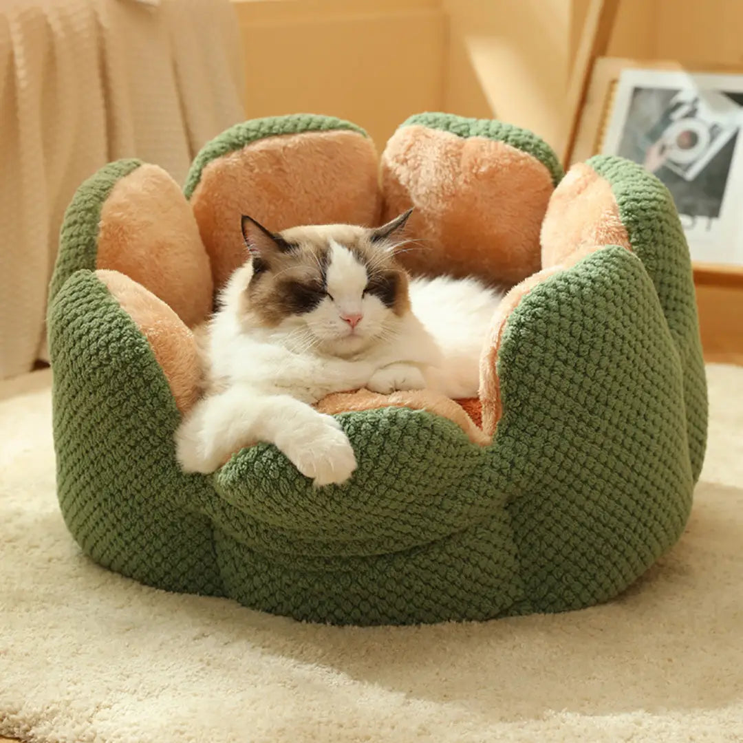 Cama Pet em Veludo Florzinha com Tamanho Variado e Frete Grátis | Caprioli Shop - Acessórios para Pets