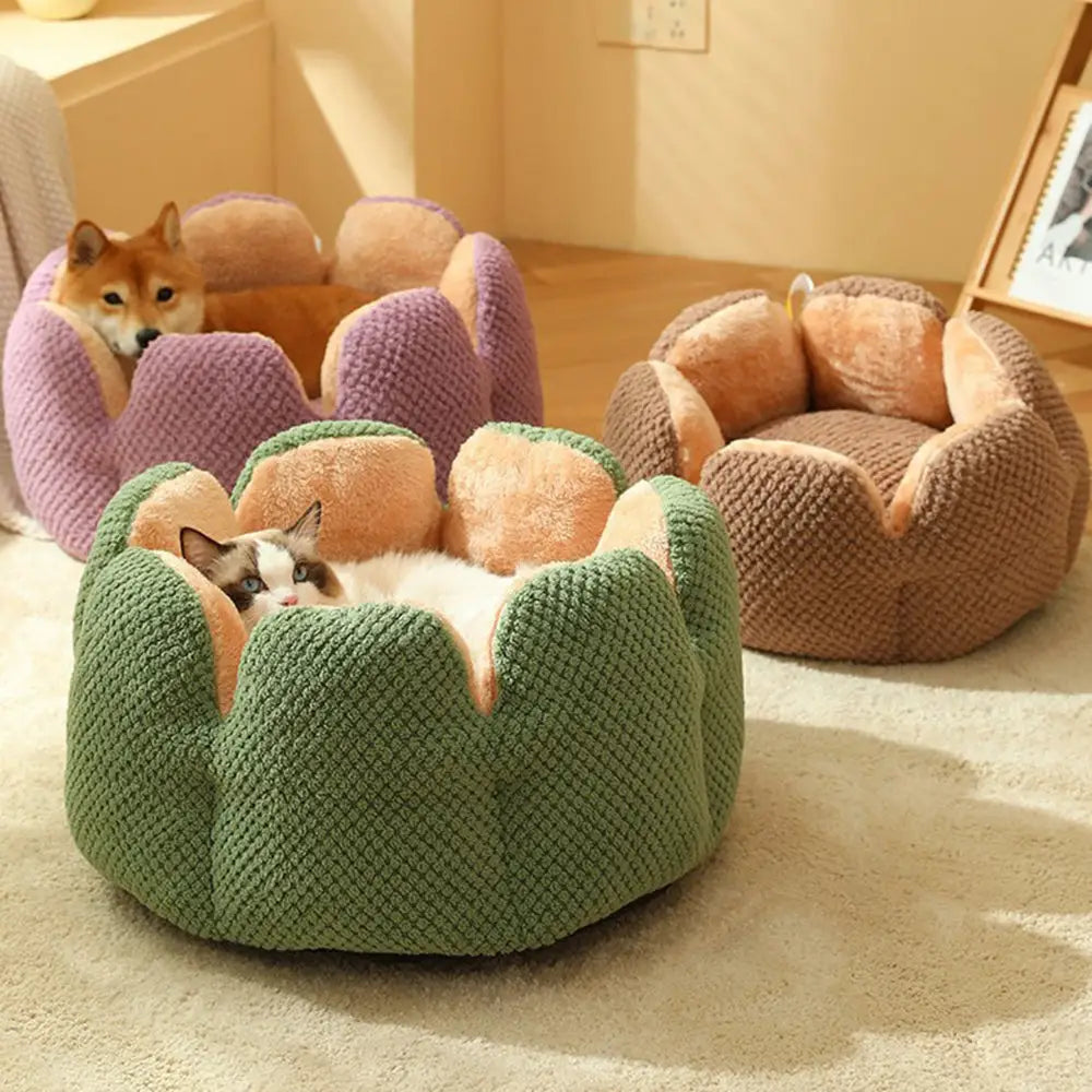 Cama Pet em Veludo Florzinha com Tamanho Variado e Frete Grátis | Caprioli Shop - Acessórios para Pets