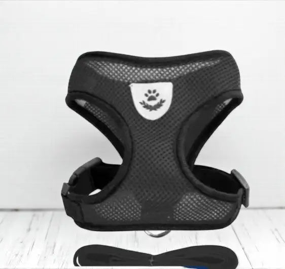 Coleira peitoral com guia para cães e gatos - Conforto segurança ajustável | Caprili Shop - Coleiras Guias Peitorais