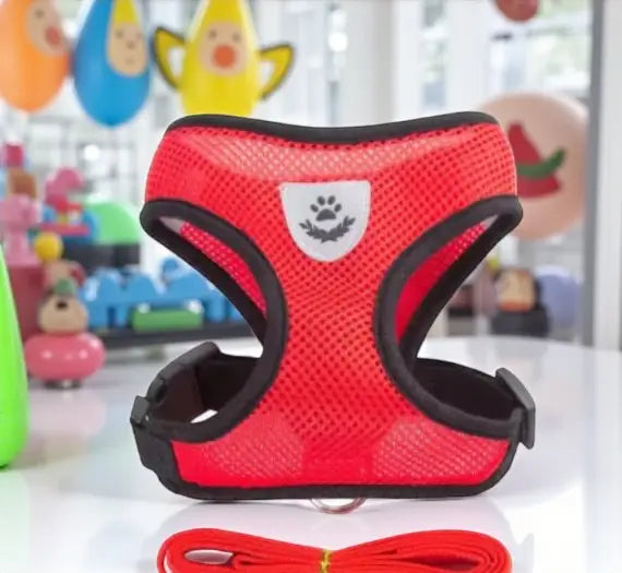 Coleira peitoral com guia para cães e gatos - Conforto segurança ajustável | Caprili Shop - Coleiras Guias Peitorais