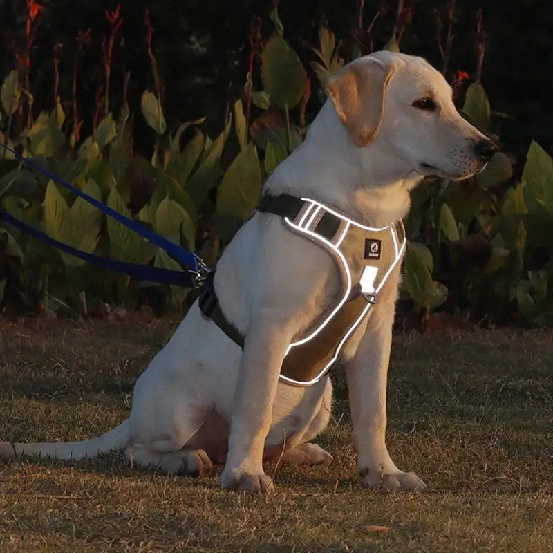 Coleira Peitoral Refletiva Antipuxão com Guia e Alça de Segurança para Cães | Caprioli Shop peitorais cachorro