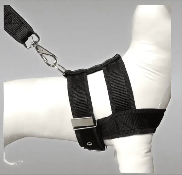 Conjunto Peitoral com Guia de Nylon Duplo Resistente para Cães Grandes | Caprioli Shop peitorais cachorro Preto / 5