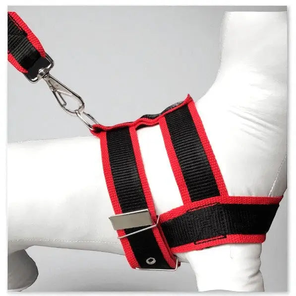 Conjunto Peitoral com Guia de Nylon Duplo Resistente para Cães Grandes | Caprioli Shop peitorais cachorro Vermelho / 5