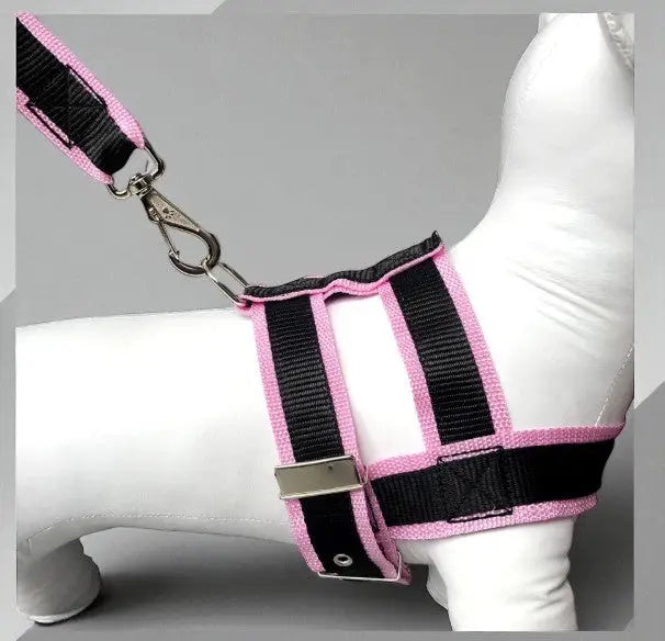 Conjunto Peitoral com Guia de Nylon Duplo Resistente para Cães Grandes | Caprioli Shop peitorais cachorro Rosa / 5
