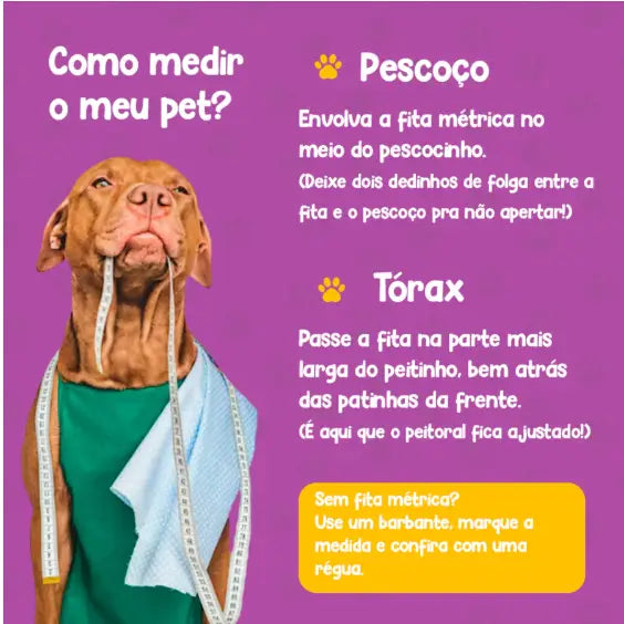 Conjunto Peitoral com Guia de Nylon Duplo Resistente para Cães Grandes | Caprioli Shop peitorais cachorro