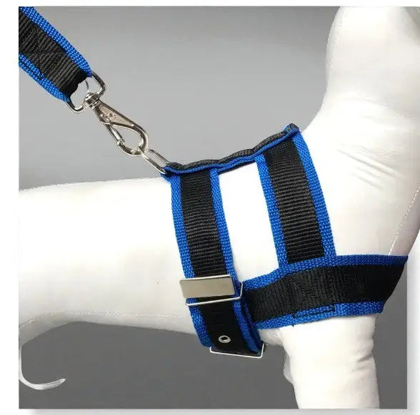 Conjunto Peitoral com Guia de Nylon Duplo Resistente para Cães Grandes | Caprioli Shop peitorais cachorro Azul / 5