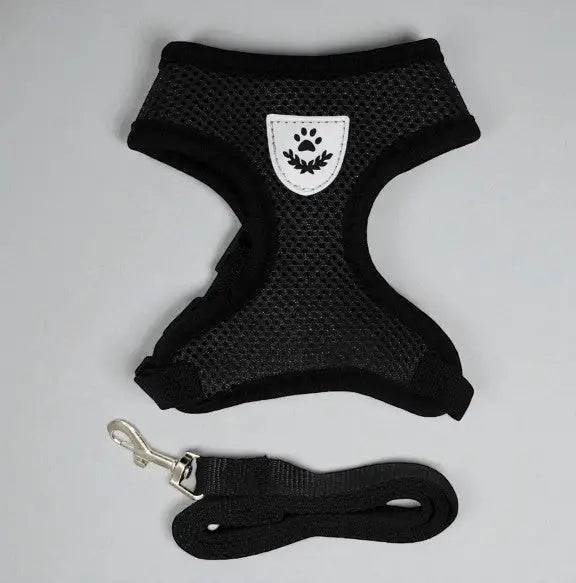 Guia Coleira Peitoral Ajustável com Colete Flexível para Cães e Gatos | Caprioli Shop coleiras Preto / P (1,5 2,5 kg)
