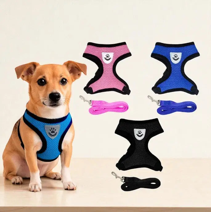 Guia Coleira Peitoral Ajustável com Colete Flexível para Cães e Gatos | Caprioli Shop coleiras