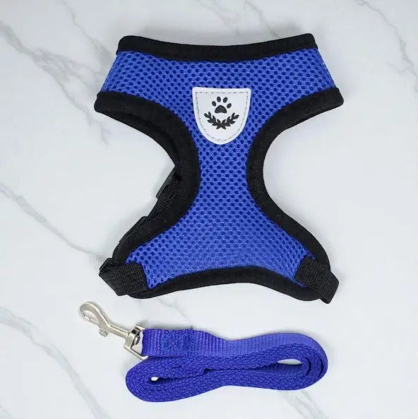 Guia Coleira Peitoral Ajustável com Colete Flexível para Cães e Gatos | Caprioli Shop coleiras Azul / P (1,5 2,5 kg)