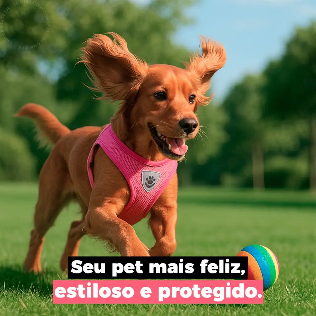 Guia Coleira Peitoral Ajustável com Colete Flexível para Cães e Gatos | Caprioli Shop coleiras