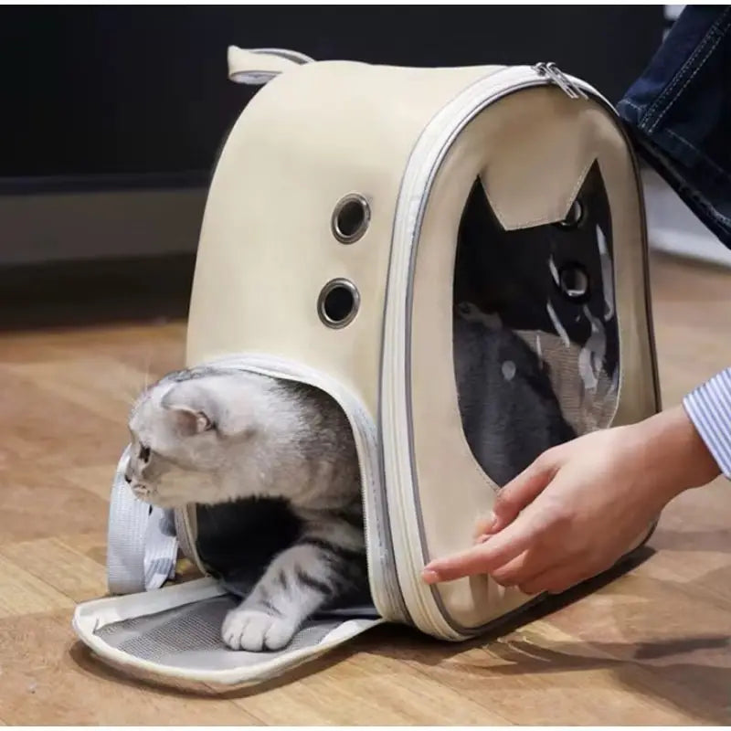Mochila Transporte para Gato Vista Panorâmica Conforto e Estilo | Caprioli Shop transporte gatos