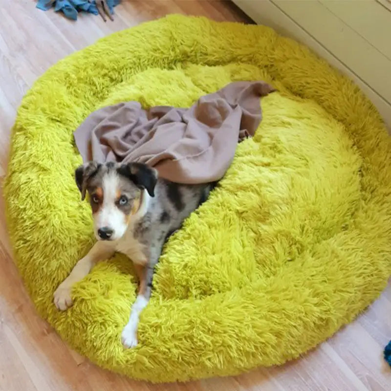 Puff Pet Pelúcia Macio e Quente com Design Bonito – Leve Portátil Fácil de Limpar | Caprioli Inter Acessórios para Pets