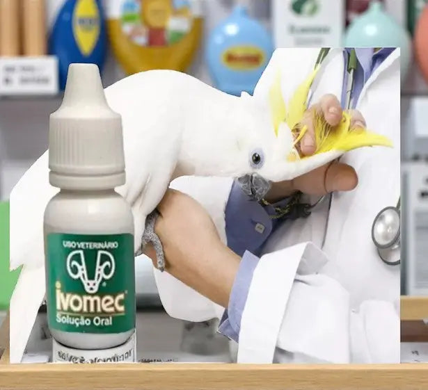 Remédio Para Pássaros Ivomec Original - Controle de Parasitas e Vermífugo | Caprili Shop - medicamento para passaro
