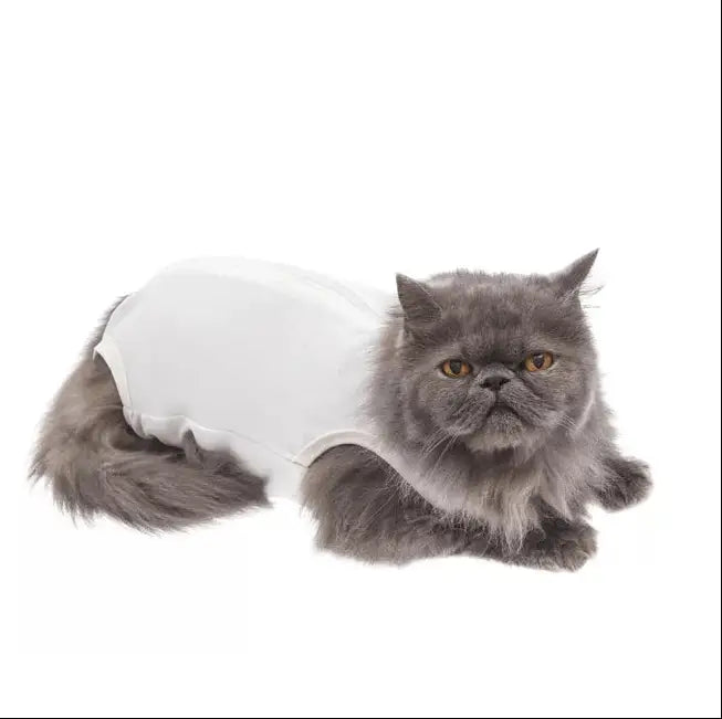 Roupa Cirúrgica Unissex para Gatos Conforto Premium | Caprioli Shop roupas e acessórios gatos