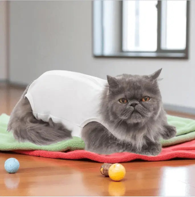 Roupa Cirúrgica Unissex para Gatos Conforto Premium | Caprioli Shop roupas e acessórios gatos N°0