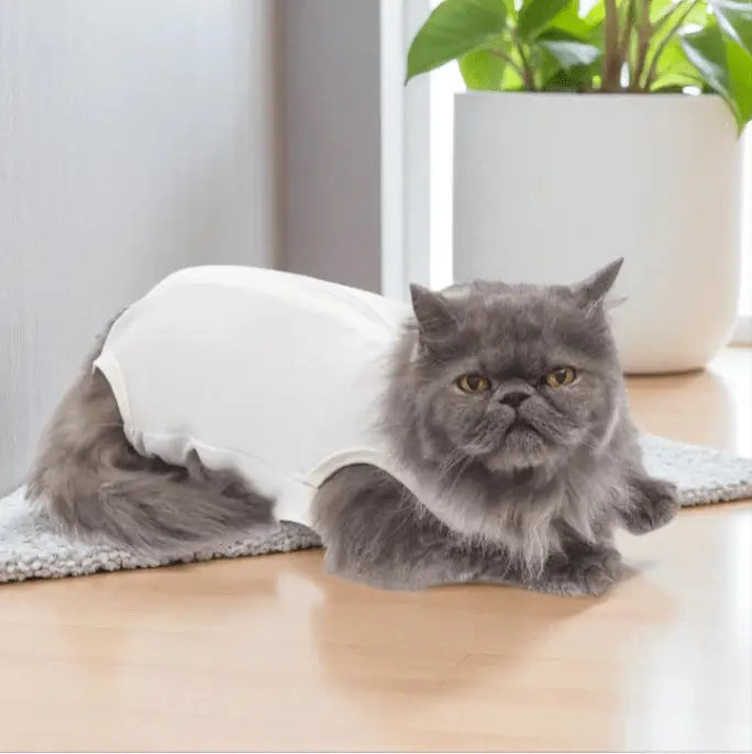 Roupa Cirúrgica Unissex para Gatos Conforto Premium | Caprioli Shop roupas e acessórios gatos N°2