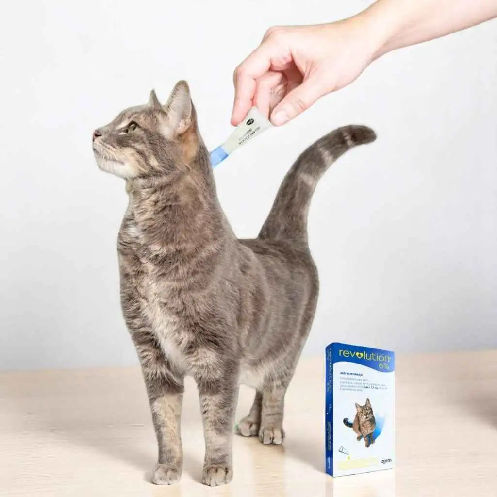 Tubo Antipulgas Revolution Gatos Original + Proteção Total | Caprioli Shop medicamentos para gato