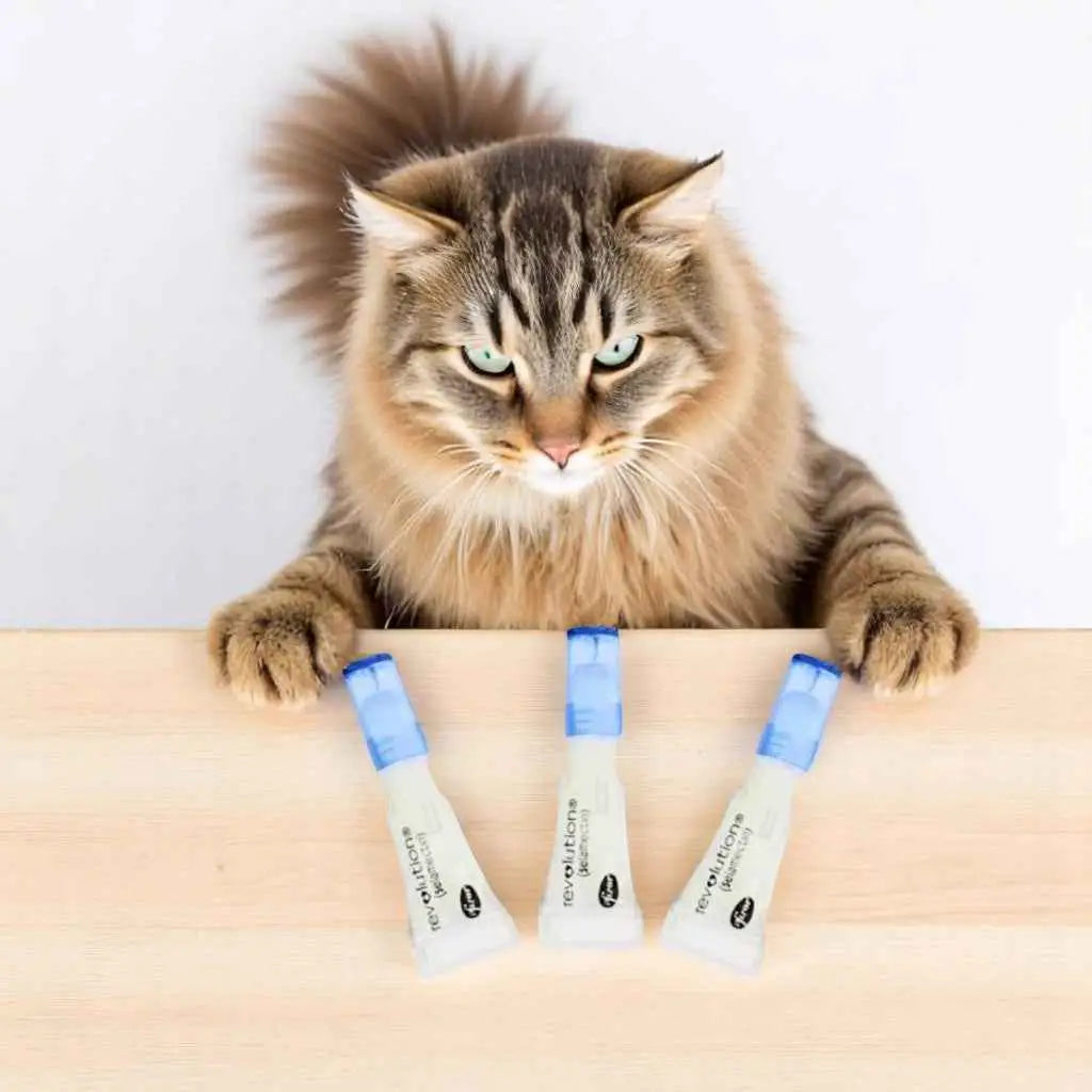 Tubo Antipulgas Revolution Gatos Original + Proteção Total | Caprioli Shop medicamentos para gato