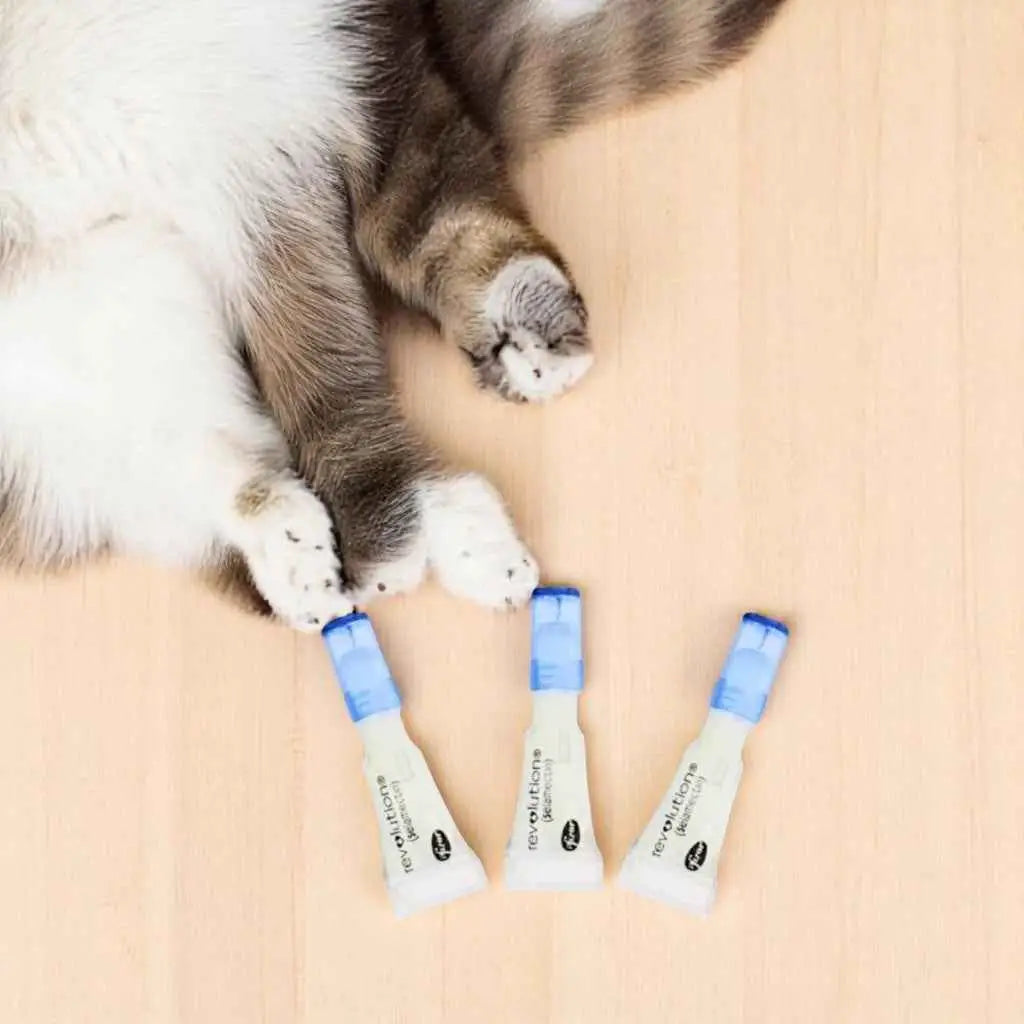 Tubo Antipulgas Revolution Gatos Original + Proteção Total | Caprioli Shop medicamentos para gato