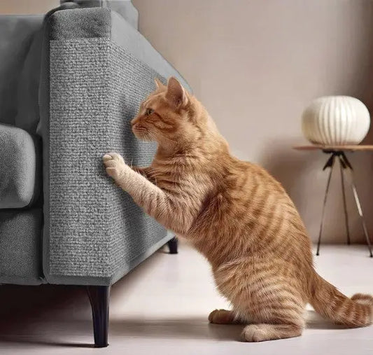 Arranhador Adesivo para Gatos 30x60cm com Carpete de Alta Fixação | Caprioli Shop Arranhadores gatos