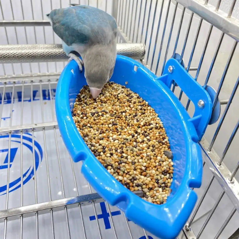Banheira suspensa para pássaros - Acessórios de gaiola | Caprili Inter - Brinquedos e - Azul
