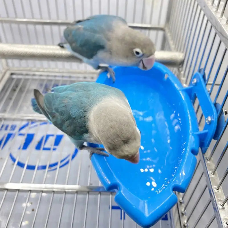 Banheira suspensa para pássaros - Acessórios de gaiola | Caprili Inter - Brinquedos e - Azul