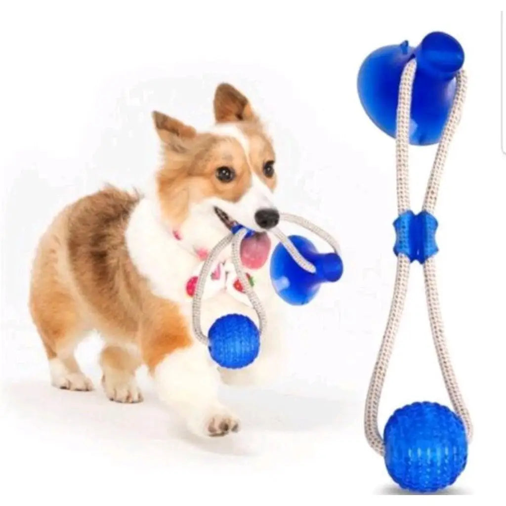 Brinquedo Mordedor Interativo para Cães - Ventosa Grudável | Caprili Shop