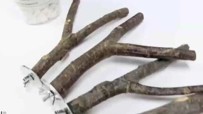 Brinquedos de Madeira Natural Suporte e Balanço Multi Galhos para Pássaros | Caprioli Inter Acessórios gaiola 8 unidades