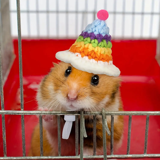 Chapéu de Tricô Mini para Hamster - Material Poliester | Caprili Inter - roupa e acessorio roedores