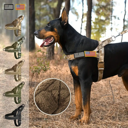 Coleira de nylon refletiva para cães Design patriótico e ajuste ergonômico | Caprili Inter Coleiras Guias Peitorais