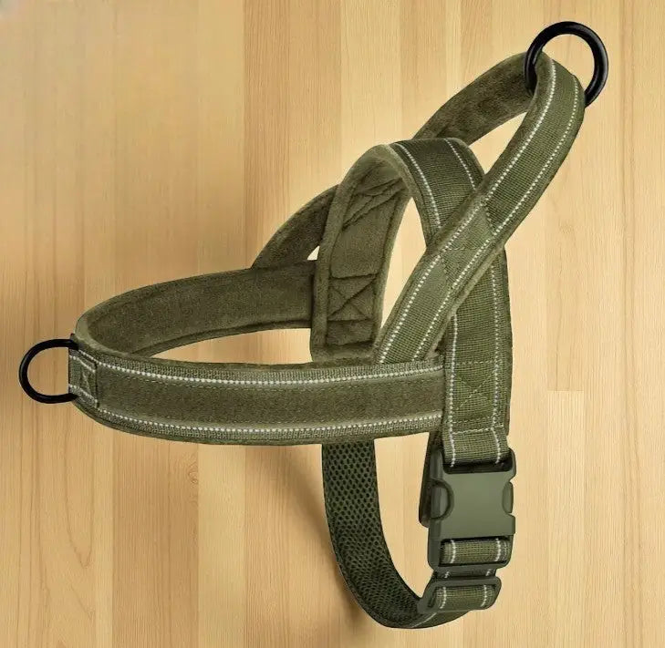 Coleira de nylon refletiva para cães Design patriótico e ajuste ergonômico | Caprili Inter Coleiras Guias Peitorais