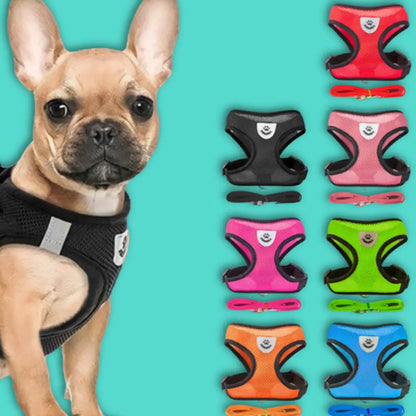 Coleira peitoral com guia para cães e gatos - Conforto segurança ajustável | Caprili Shop - Coleiras Guias Peitorais